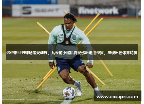 诺伊斯回归球场接受训练，九天前小腿肌肉受伤后迅速恢复，展现出色体育精神